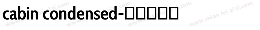 cabin condensed字体转换